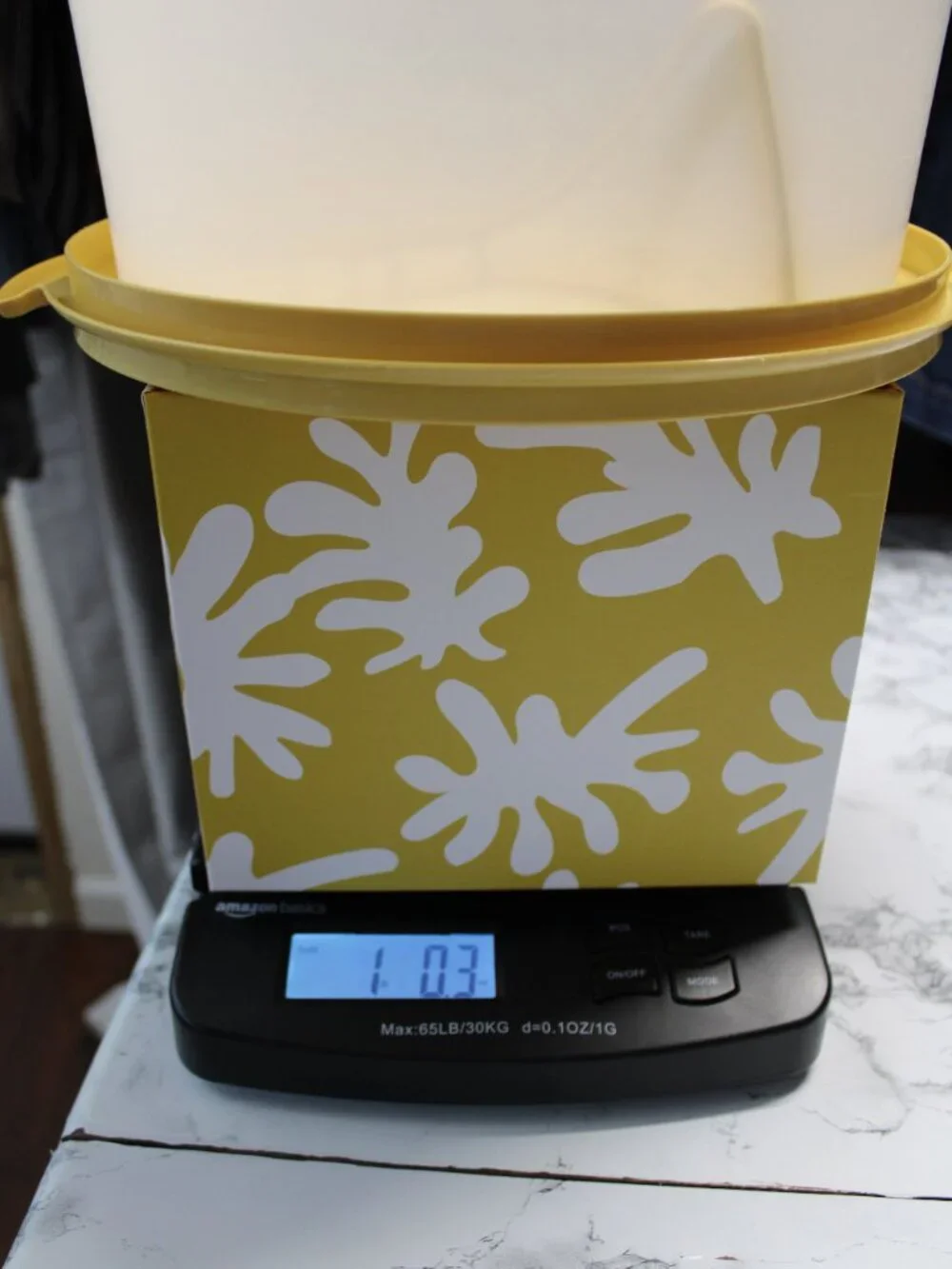 Vintage Tupperware Round Cake Taker Saver Dome with Handle and Base